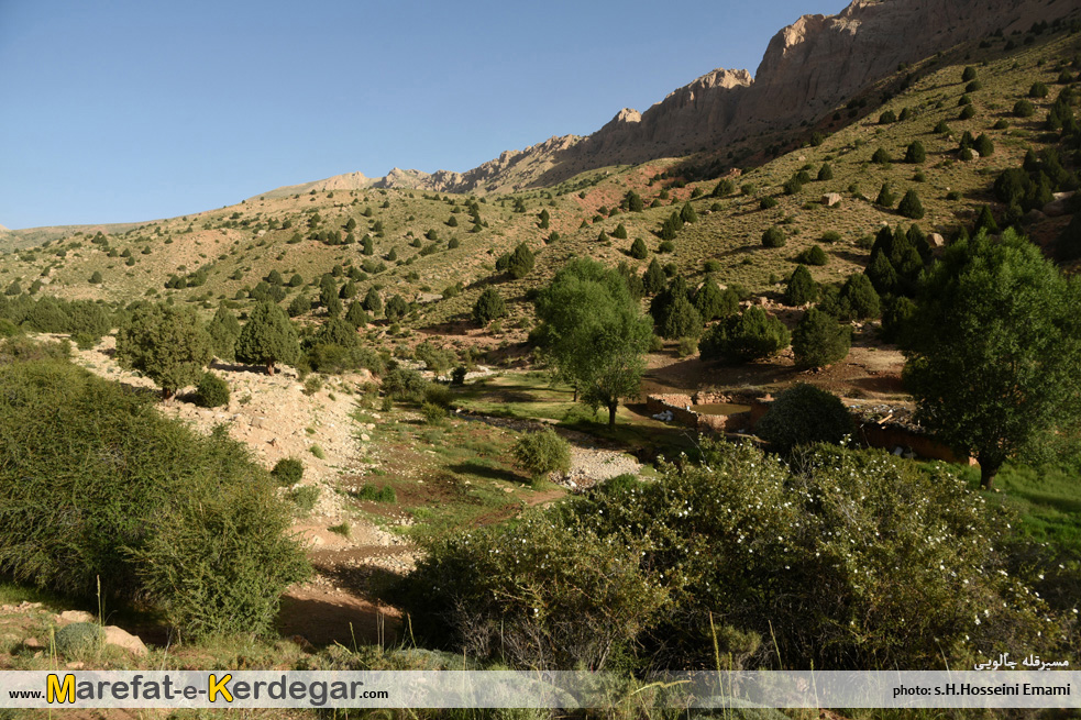 جنگل های استان سمنان